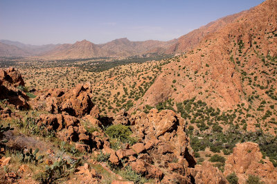 The Anti Atlas Mountains near Tafraout