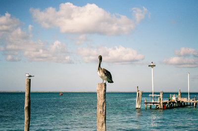 Isla Mujeres