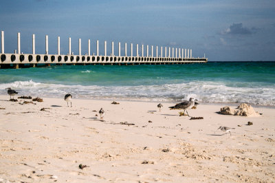 Playa del Carmen