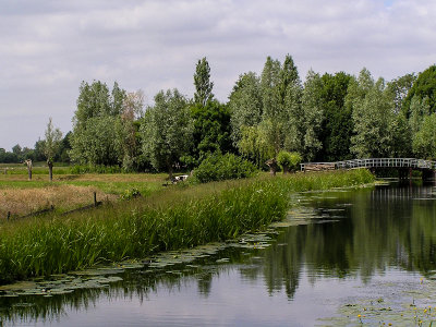Countryside near Schoonhoven