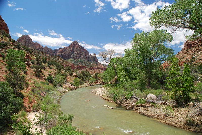 Virgin River, Zion