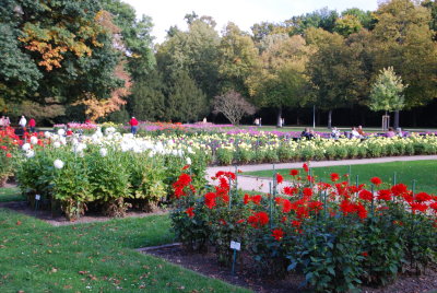Grosser Garten, Dresden