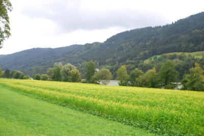 Fields outside of Passau
