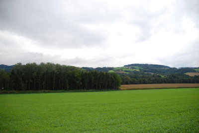 Green fields near Ottensheim