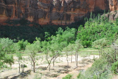Virgin River, Zion