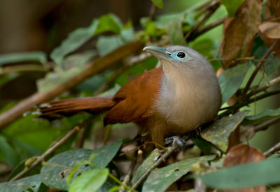 DSC_1606.jpg
