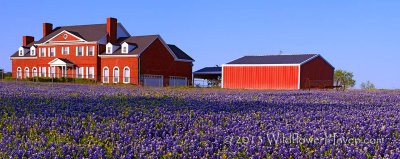 Red House on Bluebonnet Hill