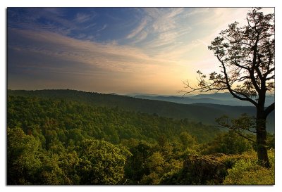 Morning. Shenandoah National Park.