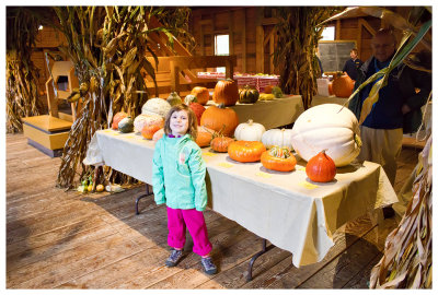 A lot of pumpkins at the Billings Farm and Museum