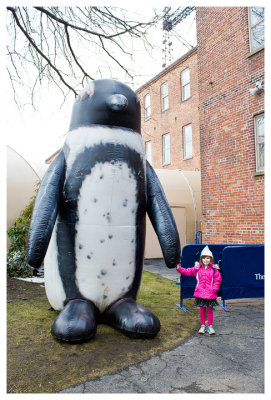 Big penguin