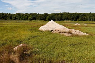 rocks in the marshgrass.jpg