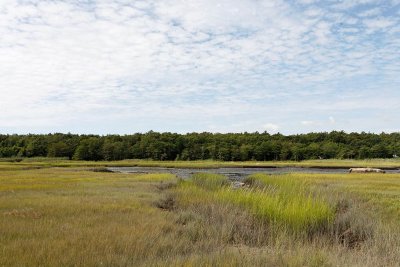 jobs cove low tide.jpg