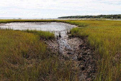 low tide 2.jpg