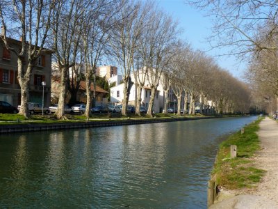 443 Carcassonne canal du midi.jpg