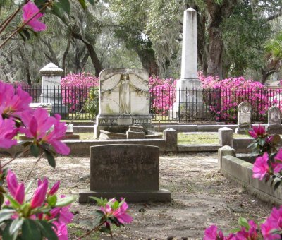 500 Savannah 403 Bonaventure Cemetery.jpg