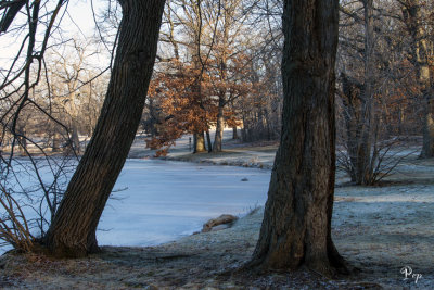 Frosty morning