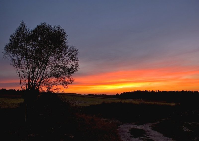 Serene Sunset