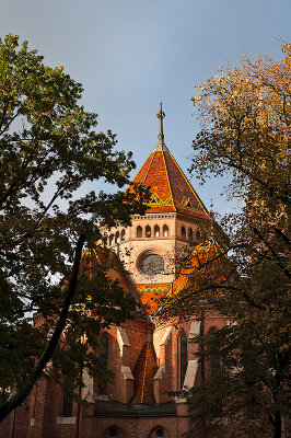 Calvinist Church