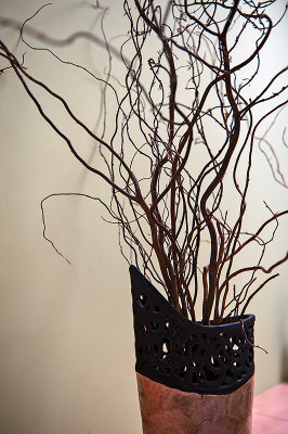 Decorative Twigs