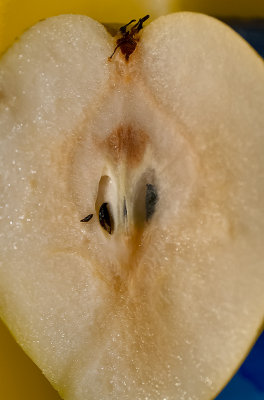 Pear