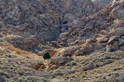 Alabama Hills