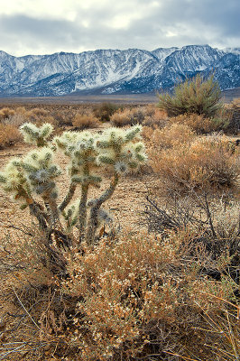 Sierra Nevada Mountains