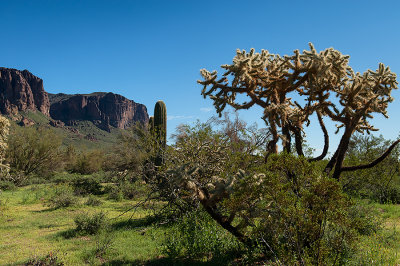Superstition Mountains