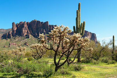 Lost Dutchman State Park
