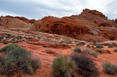 Valley Of Fire