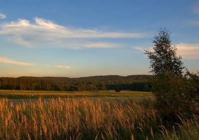 Fields Near Werchrata
