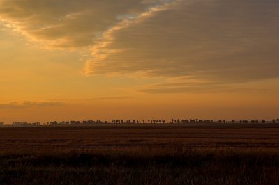 Sunset On The Plains