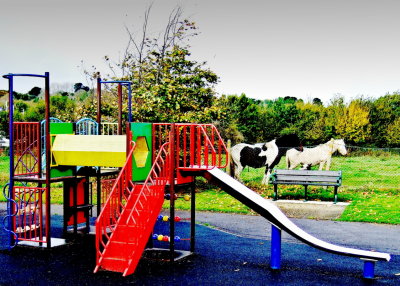g2/62/544262/3/147219438.j2P1b5zf.jpg
