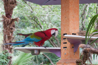 Disney2012_107.jpg