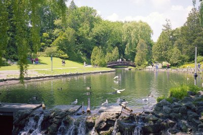 Pond of the Edward Garden Reala