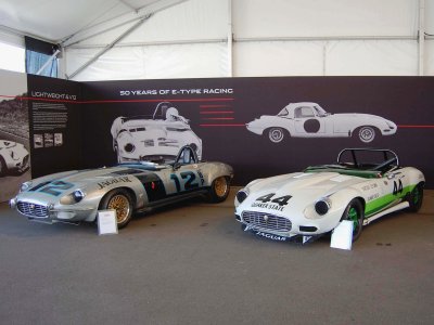 Jaguar E-Type and V12 racers