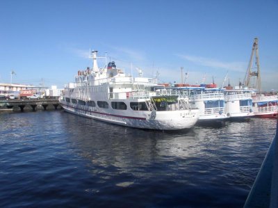 Part of the Amazon River Fleet.jpg