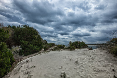 Sand dunes at Fort Matanzas National Monument