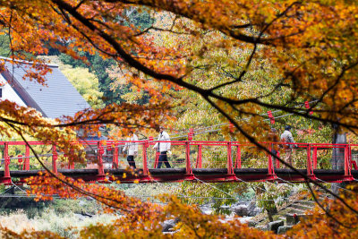 Suspension Bridge 