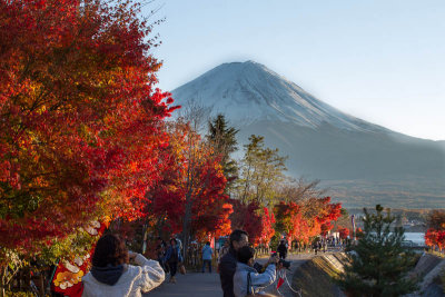 Autumn Mount Fuji 