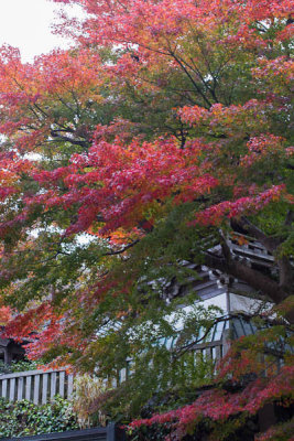 Mount Takao Hiking Trail