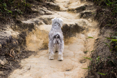 trekking companion 