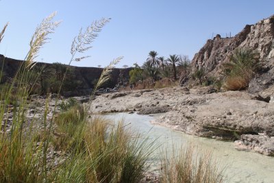 IMG_7492.JPG