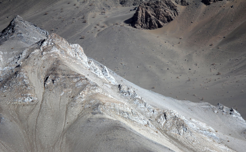 LOP NUR WILD BACTRIAN CAMEL RESERVE - XINJIANG CHINA (142).JPG