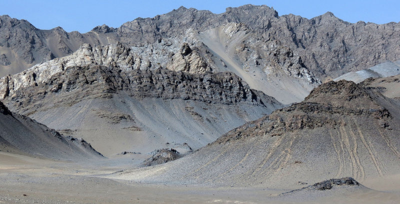 LOP NUR WILD BACTRIAN CAMEL RESERVE - XINJIANG CHINA (33).JPG