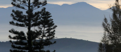 BOGOR - GEDE NATIONAL PARK - JAVA BARA, INDONESIA (12).JPG