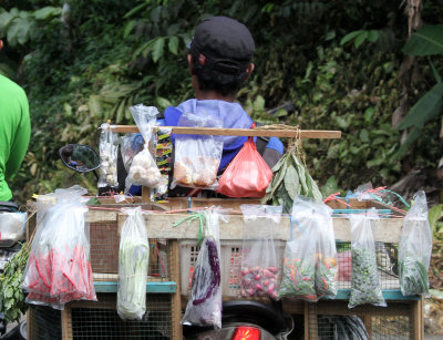 BOGOR - GEDE NATIONAL PARK - JAVA BARA, INDONESIA (29).JPG