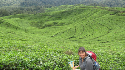 HALIMUN  NATIONAL PARK - JAVA BARAT INDONESIA (20).JPG