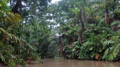 UJUNG KULON NATIONAL PARK - JAVA BARAT INDONESIA (142).JPG