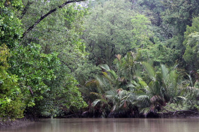 UJUNG KULON NATIONAL PARK JAVA BARAT INDONESIA (30).JPG