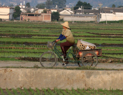 LINDEN CENTER - XIZHOU VILLAGE YUNNAN CHINA (102).JPG